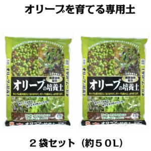 オリーブの培養土　25L×2袋セット（約50リットル）｜itempost