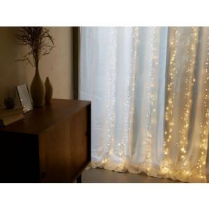 ホーンプリーズ LEDデコライト Lの買取情報