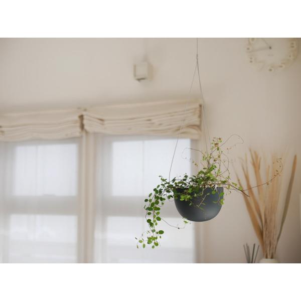 【KINTO/キントー】プラントポット ブラック S