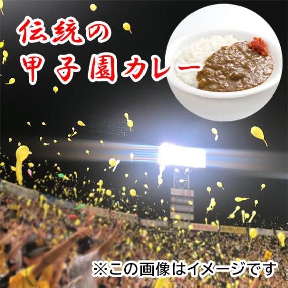 【送料込】12食入り！伝統の甲子園カレー「中辛6食入り＋辛口6食入り」 （レトルトカレー セットC）