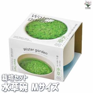 栽培セット 水草碗 【Mサイズ/1個売り】の詳細画像1