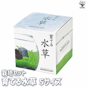 栽培セット 育てる水草 【Sサイズ/1個売り】の詳細画像1
