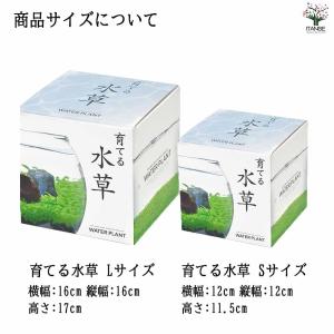 栽培セット 育てる水草 【Sサイズ/1個売り】の詳細画像2