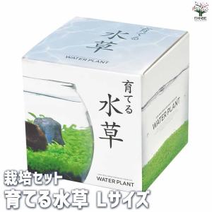 栽培セット 育てる水草 【Lサイズ/1個売り】の詳細画像1
