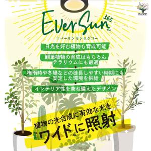植物育成用ライト エバーサン365(サンロクゴ...の詳細画像3