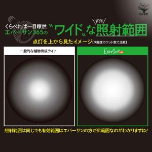 植物育成用ライト エバーサン365(サンロクゴ...の詳細画像4