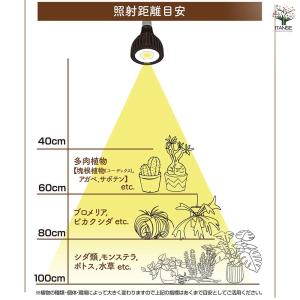 植物育成用ライト エバーサン365(サンロクゴ...の詳細画像5