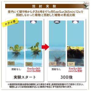 植物育成用ライト エバーサン366(サンロクゴ...の詳細画像3