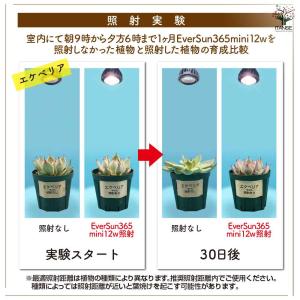 植物育成用ライト エバーサン366(サンロクゴ...の詳細画像4