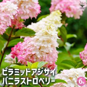 Laura Ashleyローラアシュレイキューブライトプランター［ホワイト