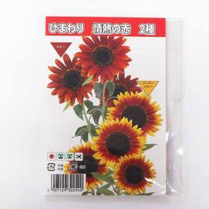 種子 ひまわり 情熱の赤 各約10粒/1袋売り 種 seed タネ 植物の種 栽培