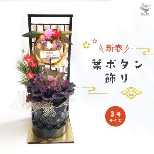 お正月飾り 迎春しめ飾りアレンジ【花苗 3号/1...の商品画像