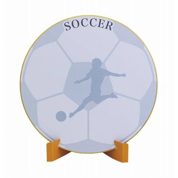 色紙　サッカー SK-002