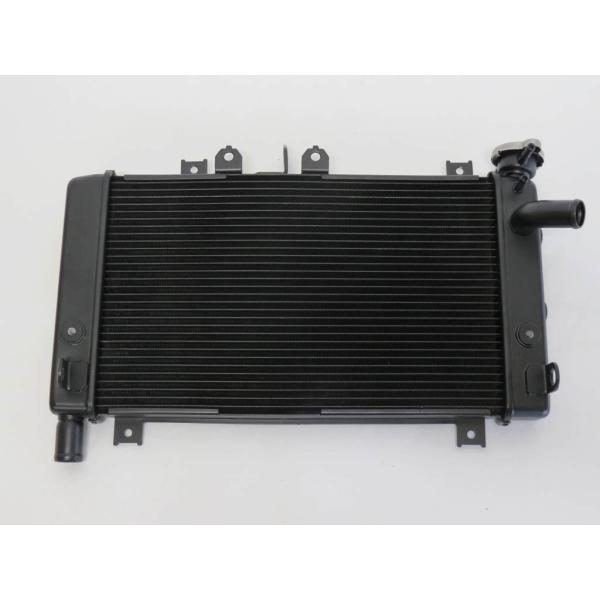 【互換品】Ninja ZX-25R ニンジャ ZX25R 2020- Ninja ZX4RR ZX-...