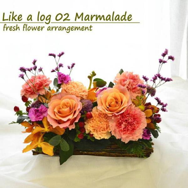 Like a log 02 Marmalade 〜マーマレード〜