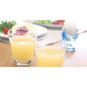 林檎ジュース【しぼりっぱなし】紙パック（1L×6本）