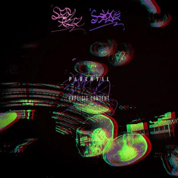 SEDY NEZZ &amp; Juda(S-kaine) / BIRTH アルバム CD