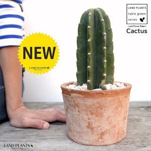 人工観葉植物柱サボテン 弁慶柱 : 京都フラワーサービス - 通販