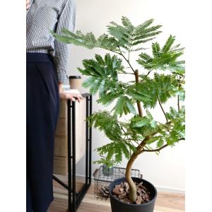 エバーフレッシュ 黒色 セラアート鉢 8号 鉢...の詳細画像5