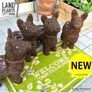 【アニマルバスケット】耳の立った イヌ型 バスケット 焦げ茶色（1匹） ケニス　テリア いぬ 犬 イヌ カゴ 籠 篭 花かご バスケット アニマルバスケット 観葉植