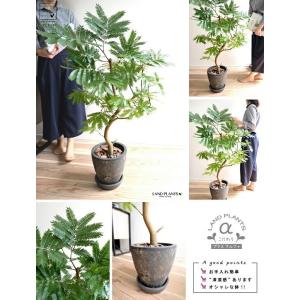 エバーフレッシュ 黒色 エッグ ラウンド 陶器...の詳細画像3