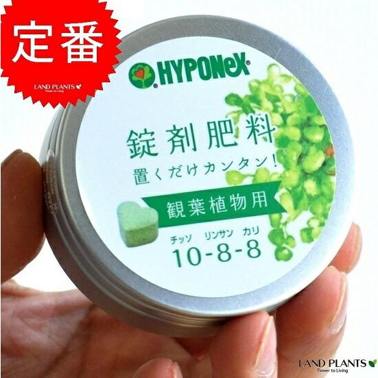 HYPONeX シルクジャスミン（ゲッキツ） の肥料 観葉植物用 鉢の上に置くだけ！ NET約70g...