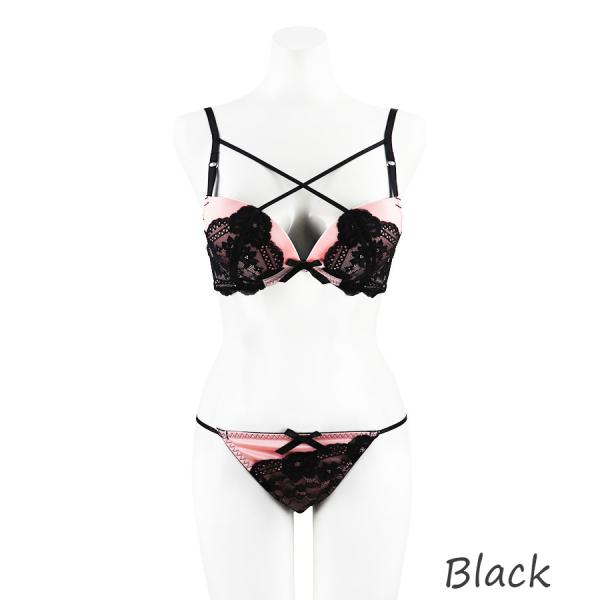 グロッシーコードノクターン　Ｂ-Ｆカップ