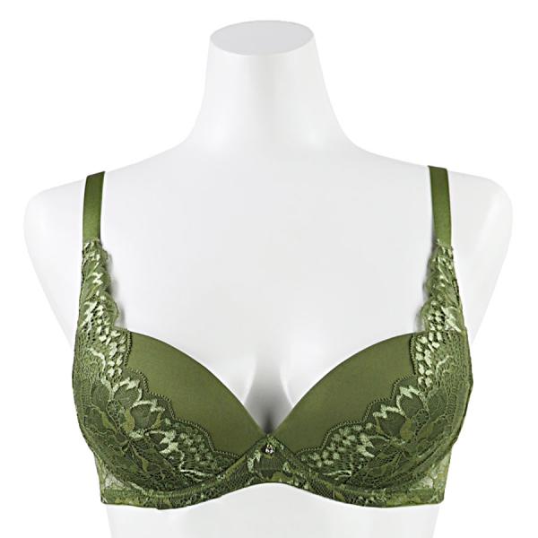 プレジー　ブラ　ＢＣカップ