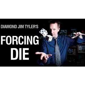 シングル・フォーシングダイス（Single Forcing Die） (1) by Diamond Jim Tyler