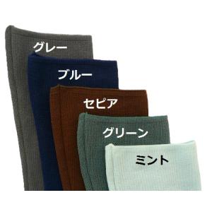 【人工透析】【血液浄化療法】【血液透析】【刺針...の詳細画像2