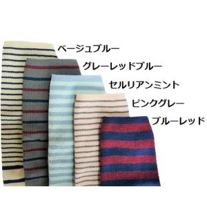【人工透析】【血液浄化療法】【血液透析】【刺針...の詳細画像4