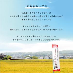 【初回限定】冷凍もち麦おにぎり 選べる2袋セッ...の詳細画像1