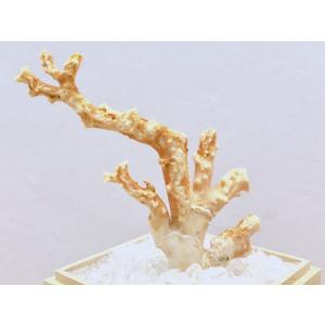 鉱物顔料 岩絵具 48色C型セット 中国画顔料・水墨画顔料・日本画顔料