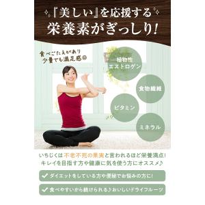 いちじく ドライフルーツ 1kg 送料無料 い...の詳細画像3