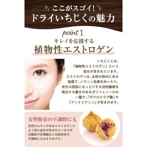 いちじく ドライフルーツ 1kg 送料無料 い...の詳細画像4