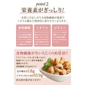 いちじく ドライフルーツ 1kg 送料無料 い...の詳細画像5