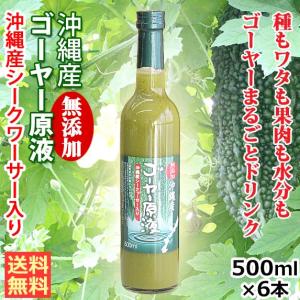 ゴーヤー原液 500ml×6本 沖縄産シークヮーサー入り 無添加 ゴーヤジュース 送料無料