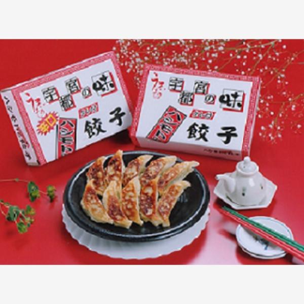 宇都宮の味　ハシモトのジャンボ餃子10個入り　