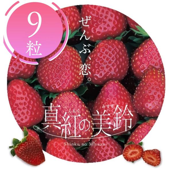 話題の希少いちご！『 真紅の美鈴 （しんくのみすず）』（通称：黒イチゴ）９粒入り