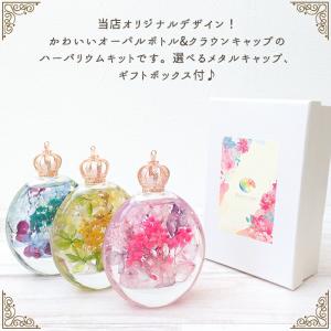 ハーバリウム【3】オーバル 手作りキット 3カ...の詳細画像2