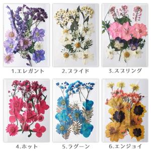 デコパーツ【86. 押し花 スモールガーデン】...の詳細画像2