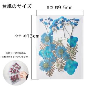 デコパーツ【86. 押し花 スモールガーデン】...の詳細画像3