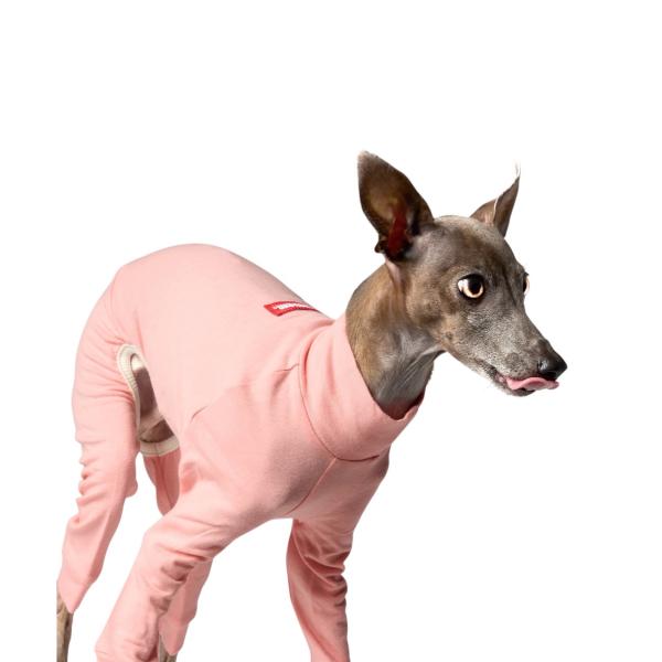 BALLET LIGHT SLIM - PINK