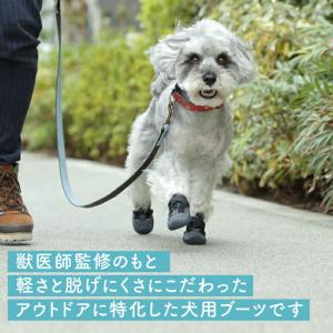 いぬくつ 2個入 [PADS]の詳細画像1