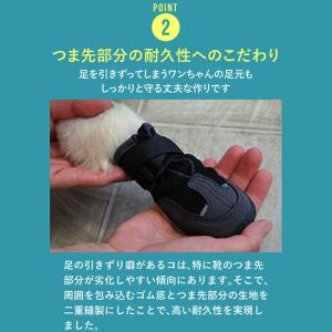 いぬくつ 2個入 [PADS]の詳細画像3