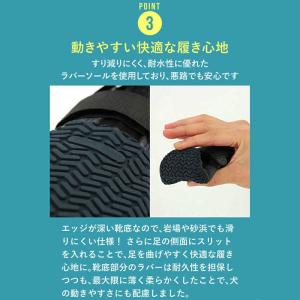 いぬくつ 2個入 [PADS]の詳細画像4