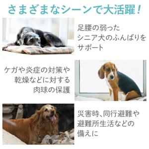 いぬくつ 2個入 [PADS]の詳細画像5