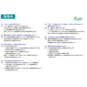【送料無料】FEATHER GUARD フェザ...の詳細画像5
