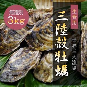 生食用 かき 三陸産 殻牡蠣 3kg 産地直送 世界三大漁場...