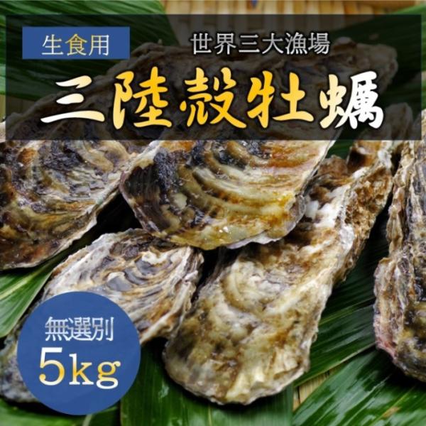 生食用 かき 三陸産 殻牡蠣 5kg 産地直送 世界三大漁場 新鮮 無選別 カキ バーベキュー パー...